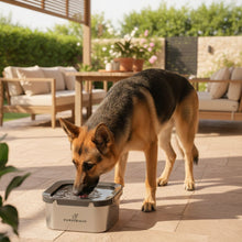 Load image into Gallery viewer, German sheperd in patio.jpg__PID:14653d20-5f1a-4661-9bca-1cbf57c9754e