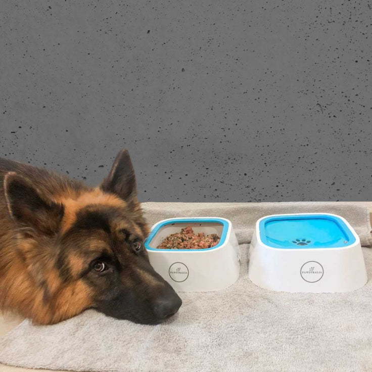 Pawstralia splash free water bowl can be used as food bowl by removing the floating disc
